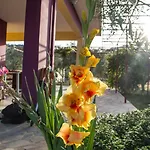 Ktima Anastasia