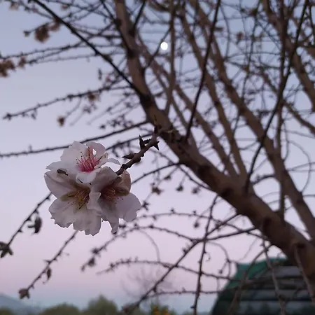 Ktima Anastasia * Anabolu