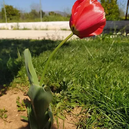 Ktima Anastasia *