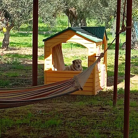 Ktima Anastasia Nafplio