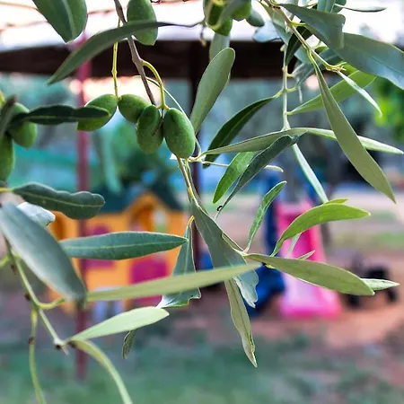 Ktima Anastasia Anabolu