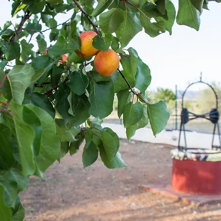 Ktima Anastasia Country house