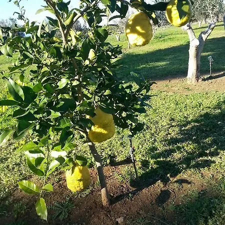 Ktima Anastasia Nafplio