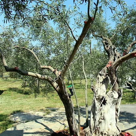 Ktima Anastasia Kır Evi Anabolu