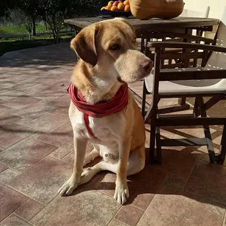 Kır Evi Ktima Anastasia *