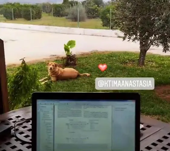 Ktima Anastasia Kır Evi