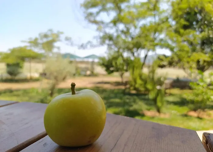 Kır Evi Ktima Anastasia *
