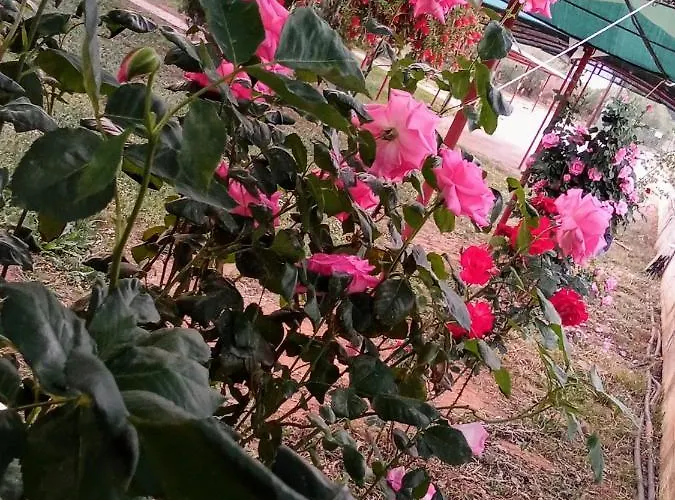 Kır Evi Ktima Anastasia