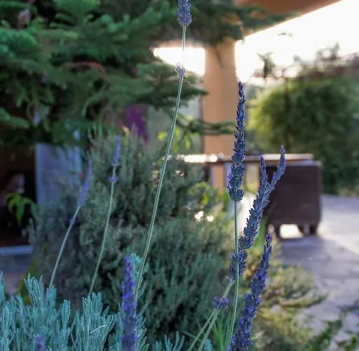 Kır Evi Ktima Anastasia Anabolu