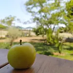Landhaus Ktima Anastasia *
