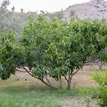 Εξοχικό σπίτι κτήμα αναστασία Ναύπλιο