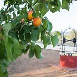Ktima Anastasia Country house