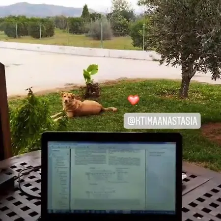 Ktima Anastasia Séjour à la campagne