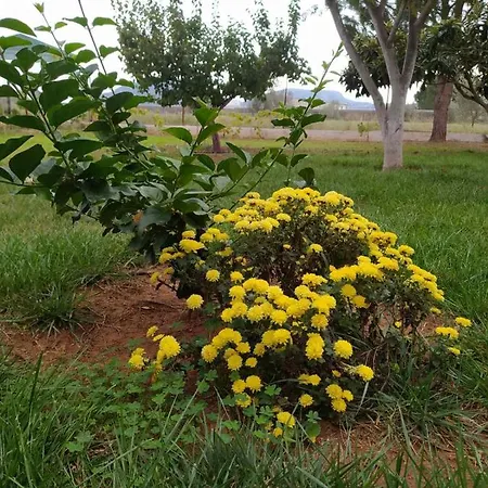 阿纳斯塔西娅旅馆 乡村民宿 纳夫普利翁