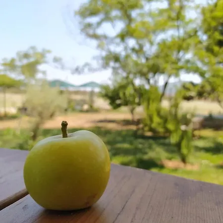Hétvégi ház Ktima Anastasia *