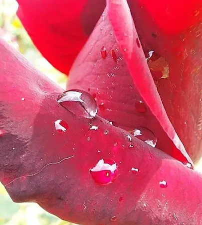 컨트리하우스 Ktima Anastasia *