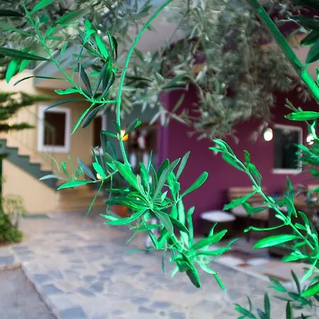 Ktima Anastasia カントリーハウス