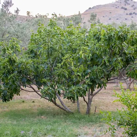 컨트리하우스 Ktima Anastasia 나플리오