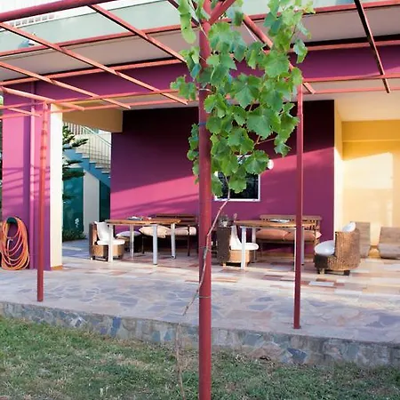 阿纳斯塔西娅旅馆