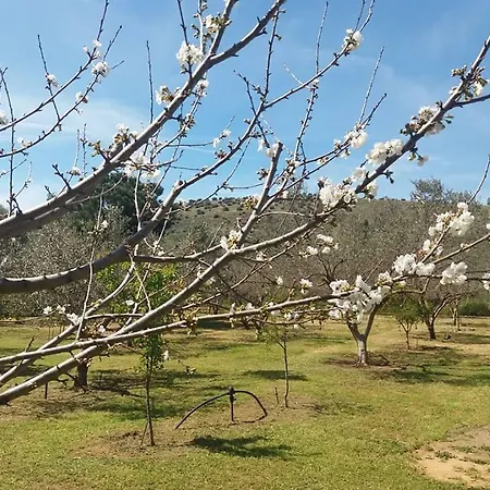 乡村民宿 阿纳斯塔西娅旅馆