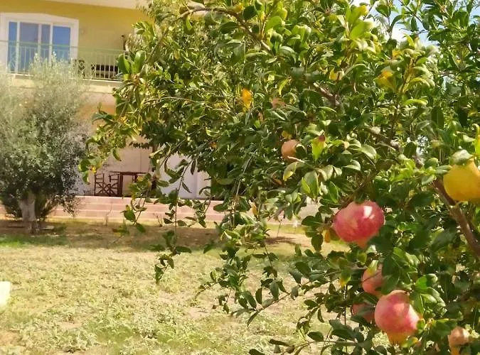 Ktima Anastasia Lantställe Nafplion