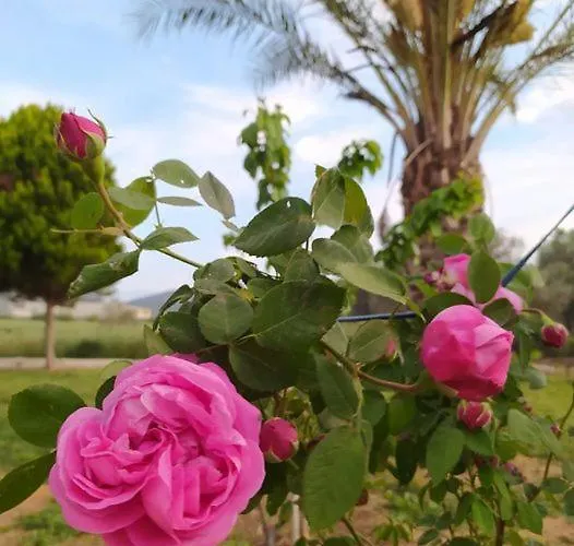 Ktima Anastasia Landsted *