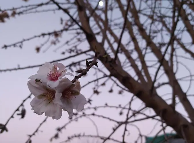 Ktima Anastasia * Nafplion