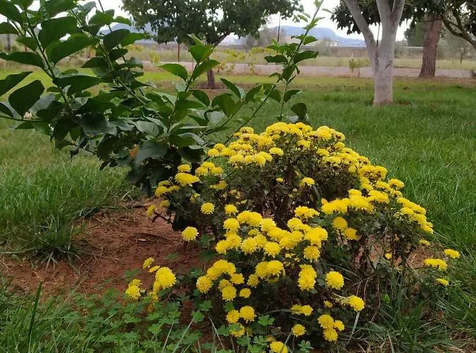 Ktima Anastasia Landsted Nafplio