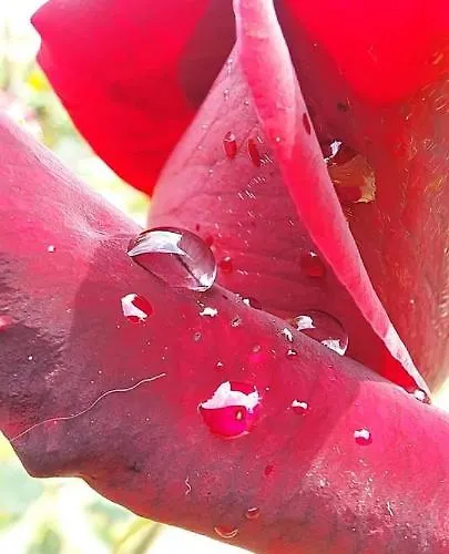 Landsted Ktima Anastasia *