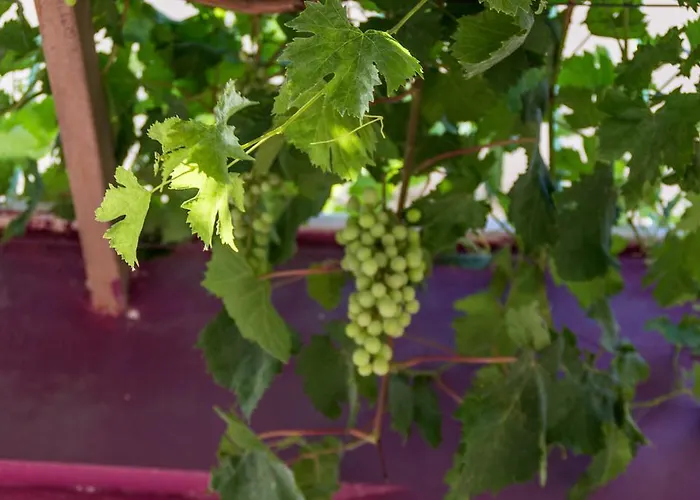 Landsted Ktima Anastasia *