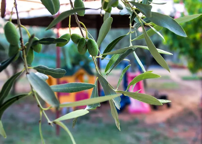 Ktima Anastasia Nafplio