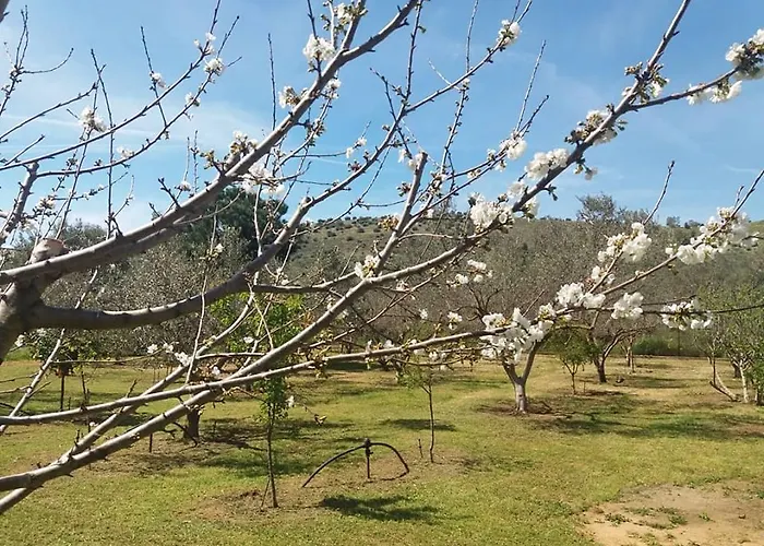 Lantställe Ktima Anastasia