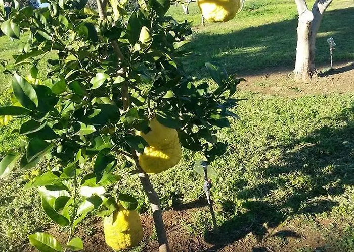 Ktima Anastasia Nafplio