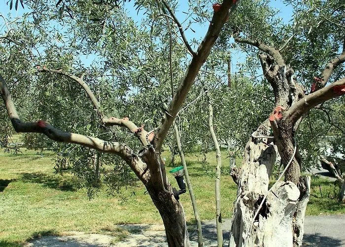 Ktima Anastasia Lantställe Nafplion