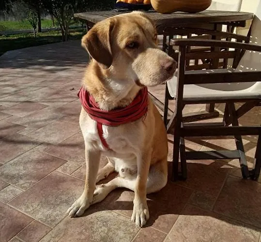 Landsted Ktima Anastasia *